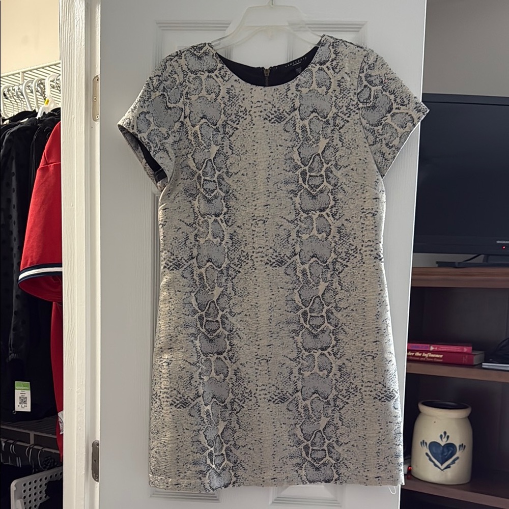Snake Print mini Dress